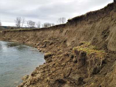 Haffner-Barfuse Floodplain Restoration Project
