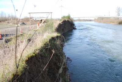 Wildish McKenzie River Flood Protection