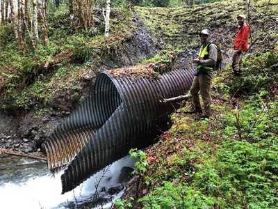 Goodman Creek Culvert Replacement